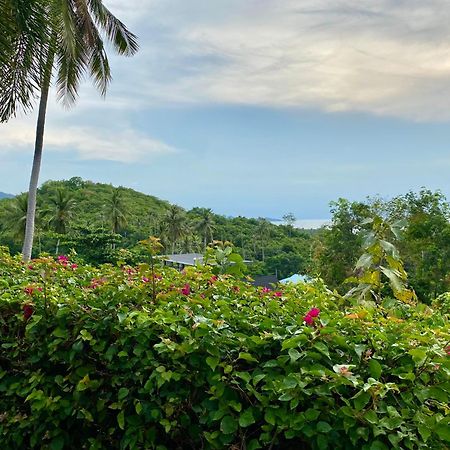 Ko Samui Seaview Pool Villa Seren With Car Laem Set Beach Bagian luar foto
