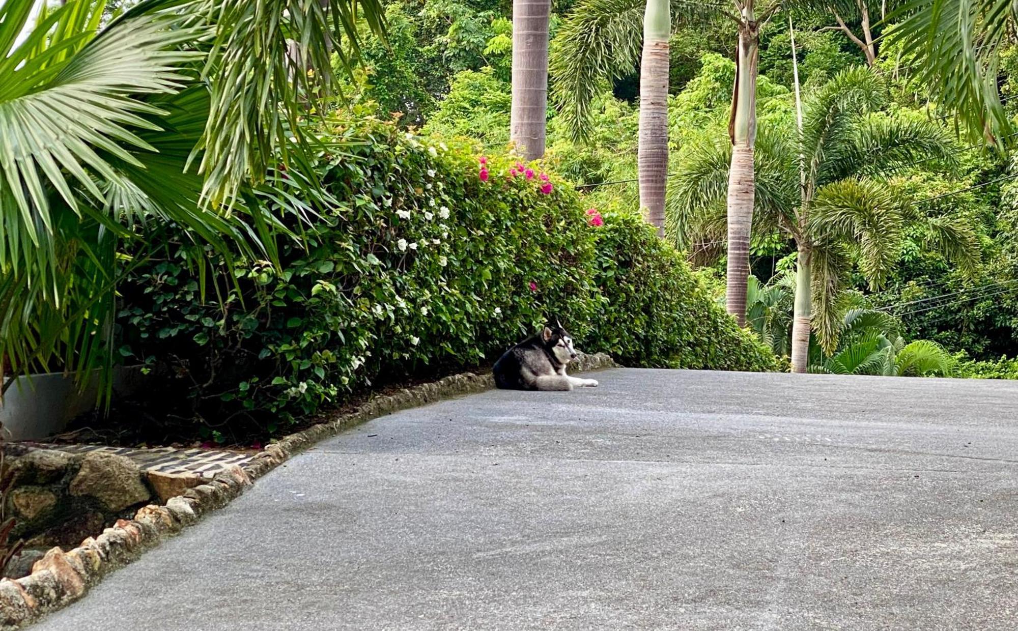 Ko Samui Seaview Pool Villa Seren With Car Laem Set Beach Bagian luar foto