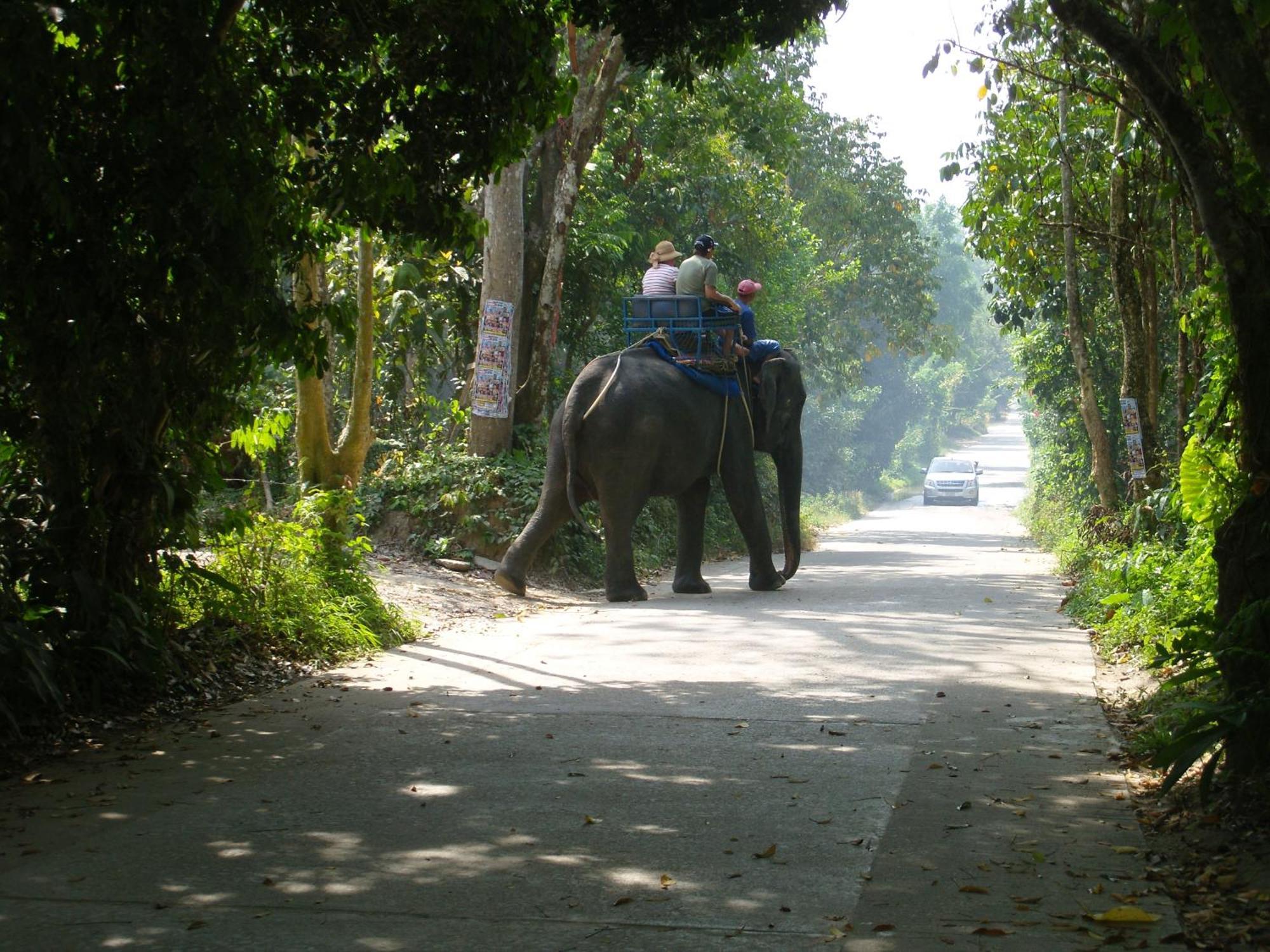 Ko Samui Seaview Pool Villa Seren With Car Laem Set Beach Bagian luar foto